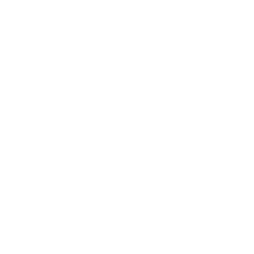 Violin Lessons