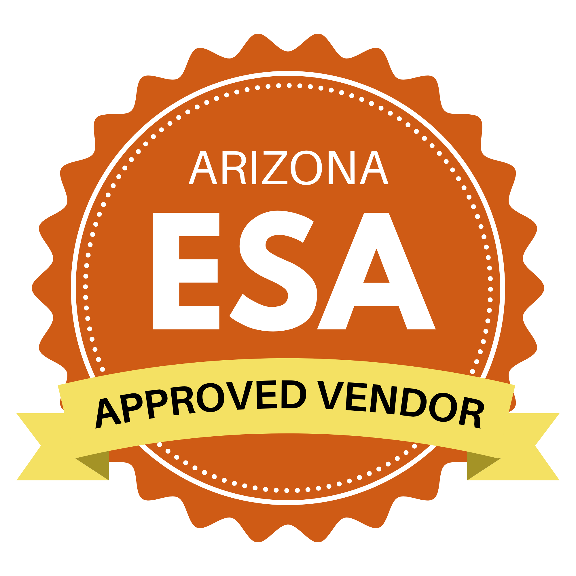 boy learn the piano lessons by teacher at learn the art